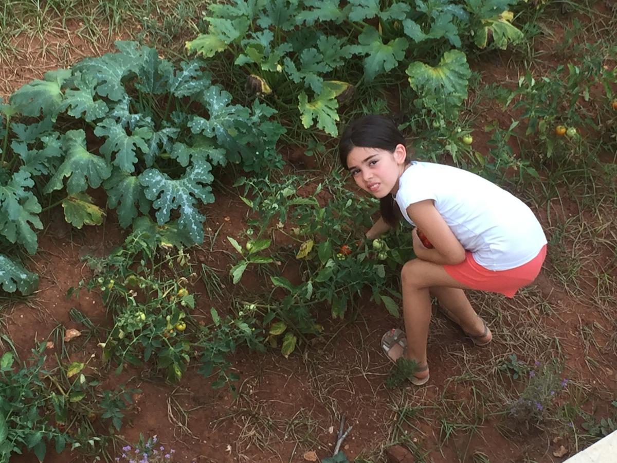 מרינה סרה Agriturismo Salento D'Arare מראה חיצוני תמונה