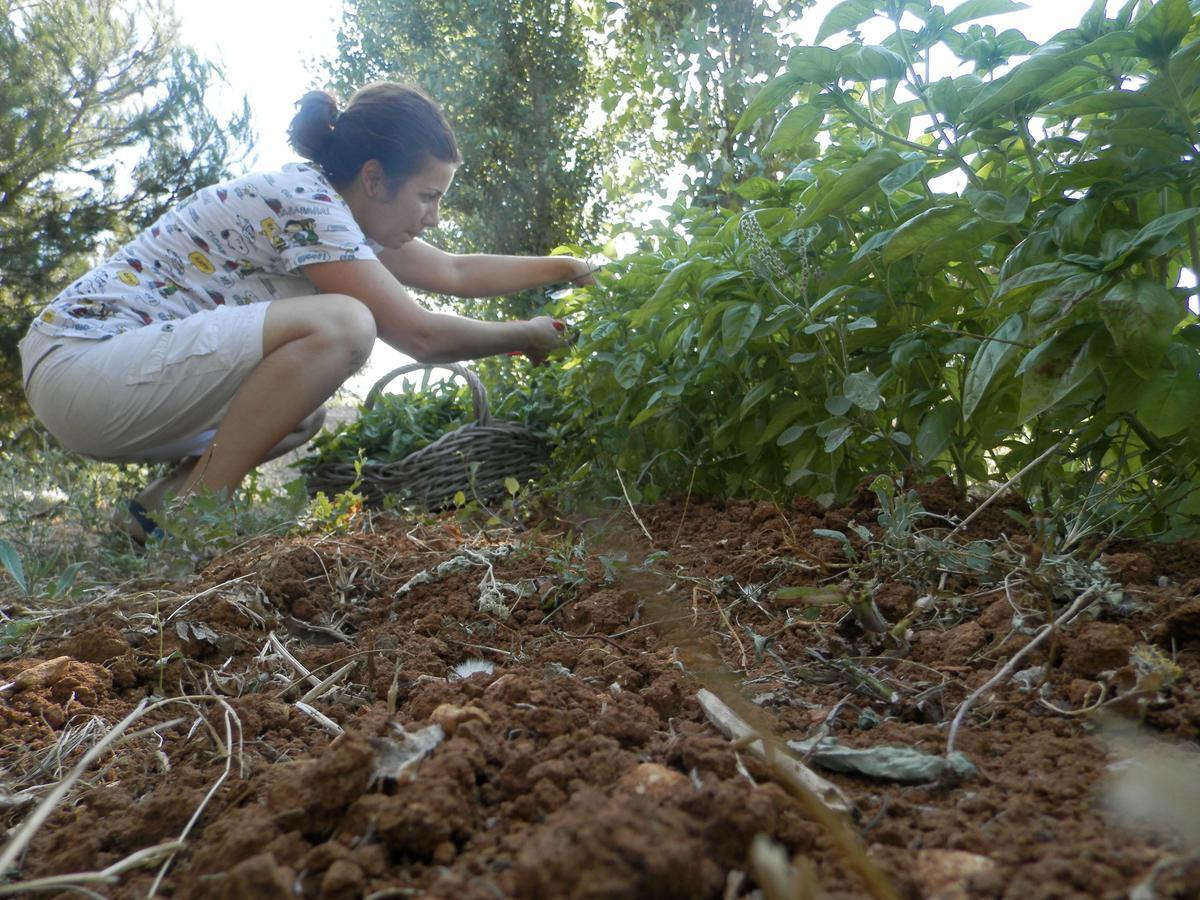 הוילה מרינה סרה Agriturismo Salento D'Arare מראה חיצוני תמונה