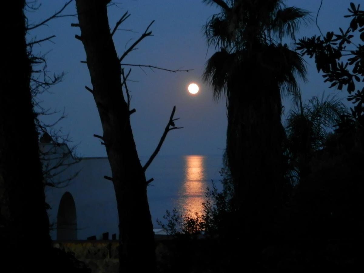 הוילה מרינה סרה Agriturismo Salento D'Arare מראה חיצוני תמונה