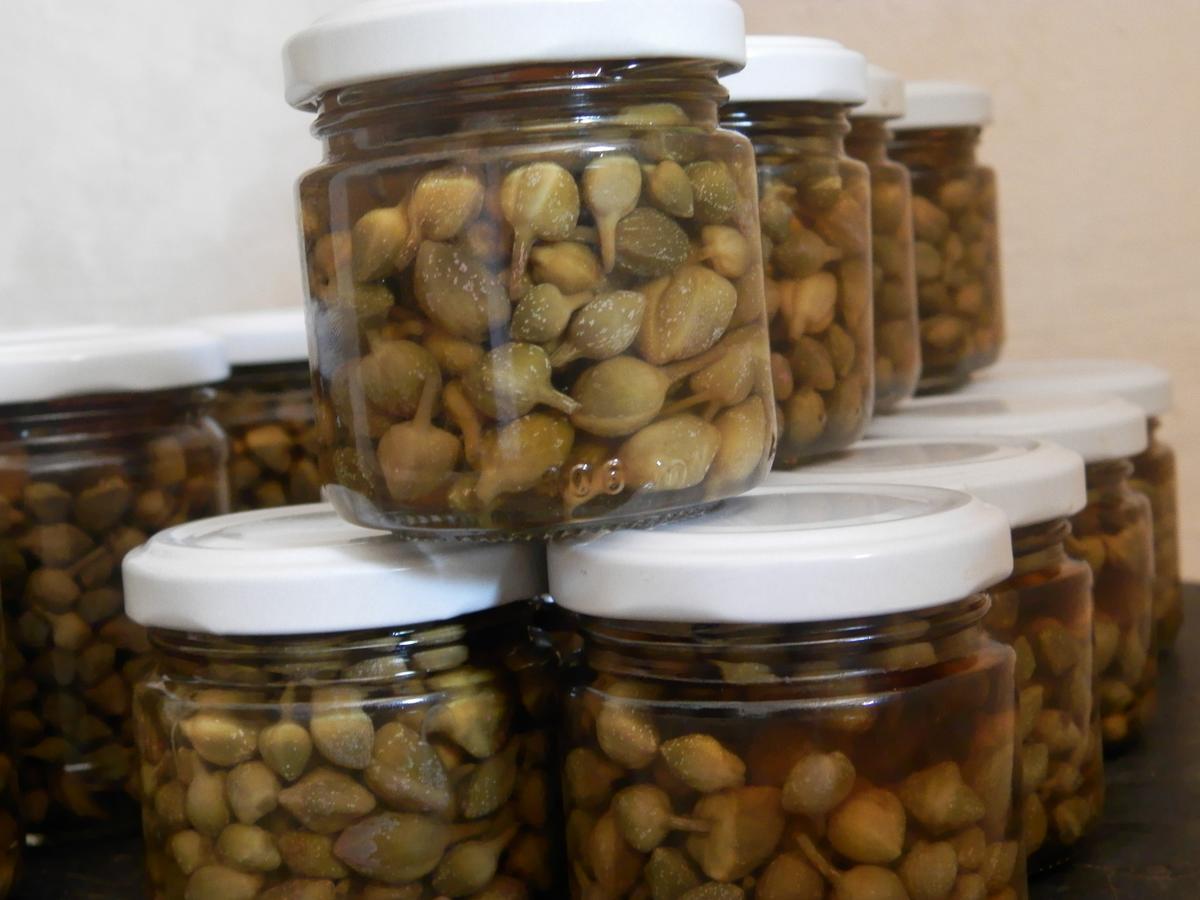 מרינה סרה Agriturismo Salento D'Arare מראה חיצוני תמונה